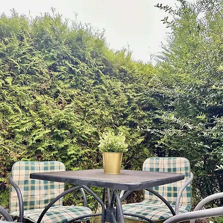 Stranddistel - Carolinensiel Wittmund